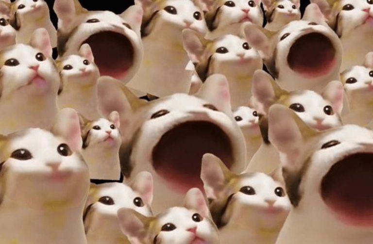 Crypto Analysts Say These are the Best Meme Coins to Buy for October: Popcat, Floki, Crypto All-Stars image 0