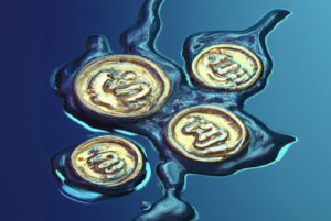 3 Altcoin yang Berpotensi Mengalami Likuidasi Besar di Akhir Agustus 2025