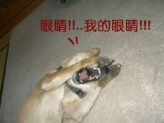 3000 块变 300 万，初出茅庐的大学生他凭什么？ image 0