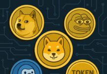 Die heißesten Krypto-Hoffnungen: Fünf Coins, die jetzt jeder checken sollte