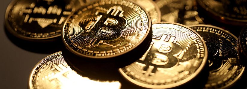 Caminos Divergentes: Los Toros Leales de Bitcoin se Multiplican Mientras los Traders de Corto Plazo Huyen