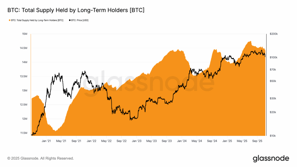 أخبار البيتكوين: حاملو البيتكوين على المدى الطويل يتخلون عن 300 ألف بيتكوين، هل وصل سوق الدببة؟ image 0