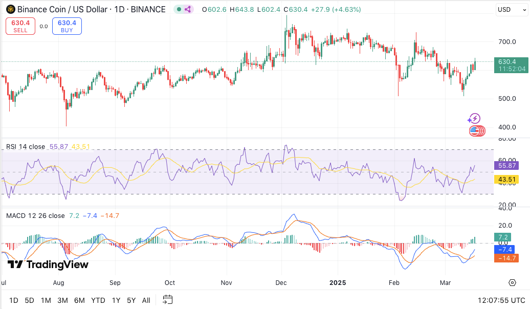 BNB Chain Now Tops Solana in DEX Trading, Price Jumps