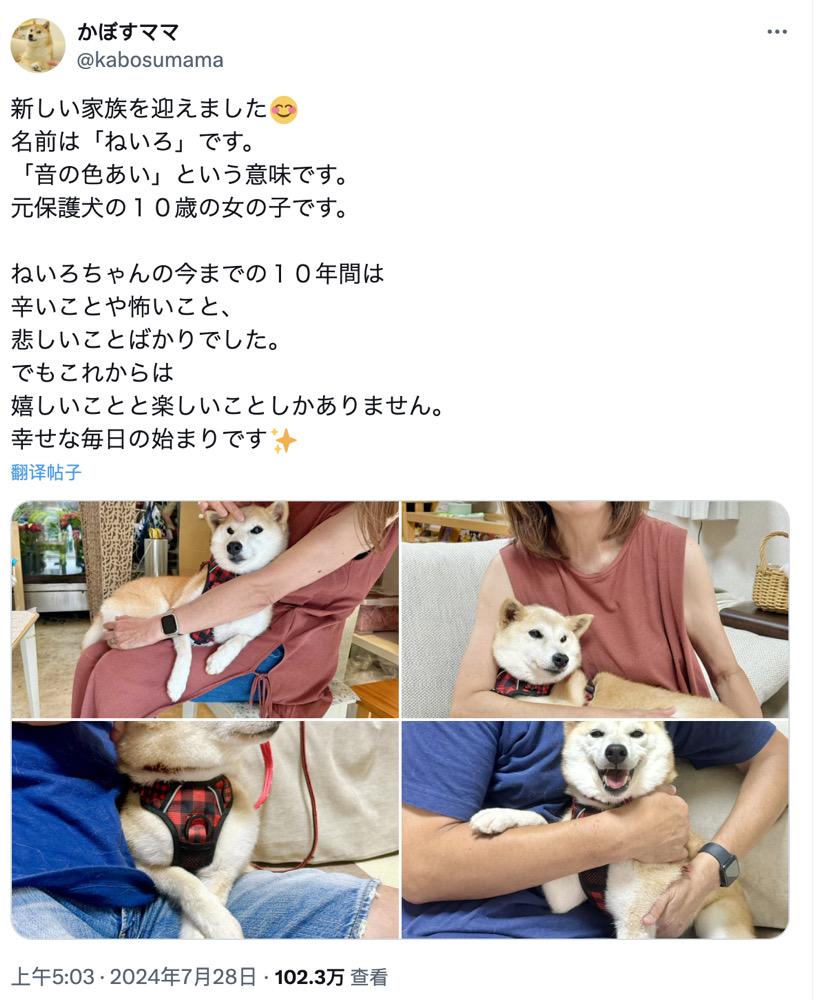DOGE原型主人新宠“Neiro”爆火：多个同名MEME获数亿资金参与，未经授权遭“抗议” image 0
