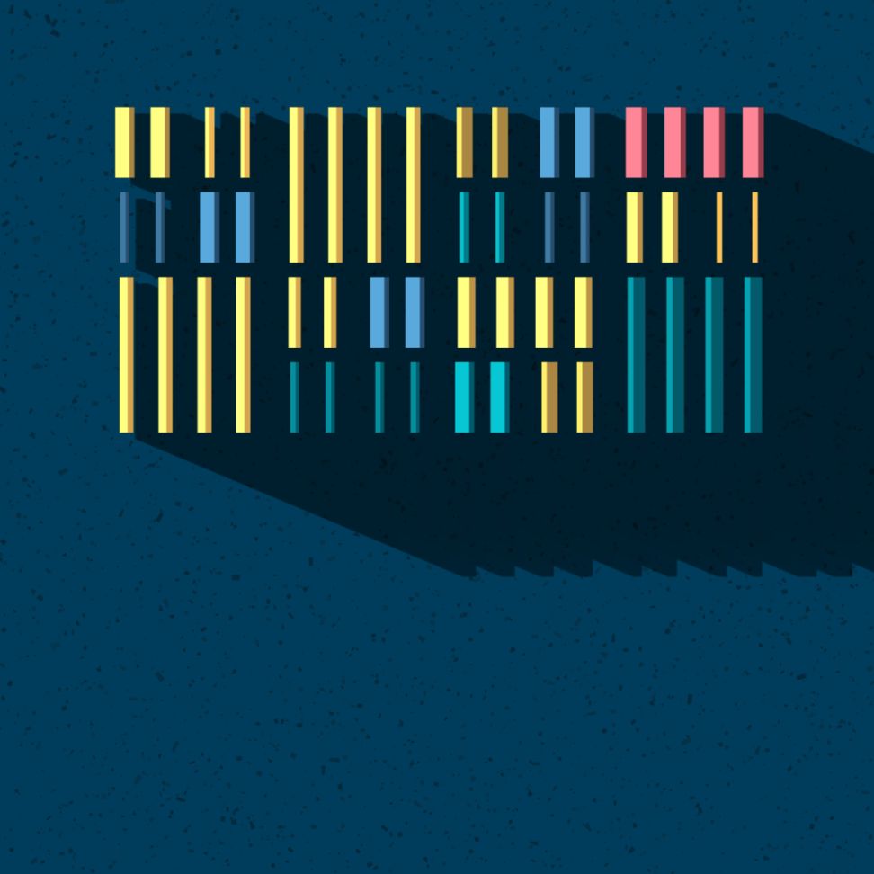 聚焦西班牙裔传统月 image 6