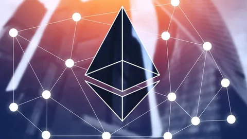 Bitwise Commits Ethereum ETF Profits to Development Support