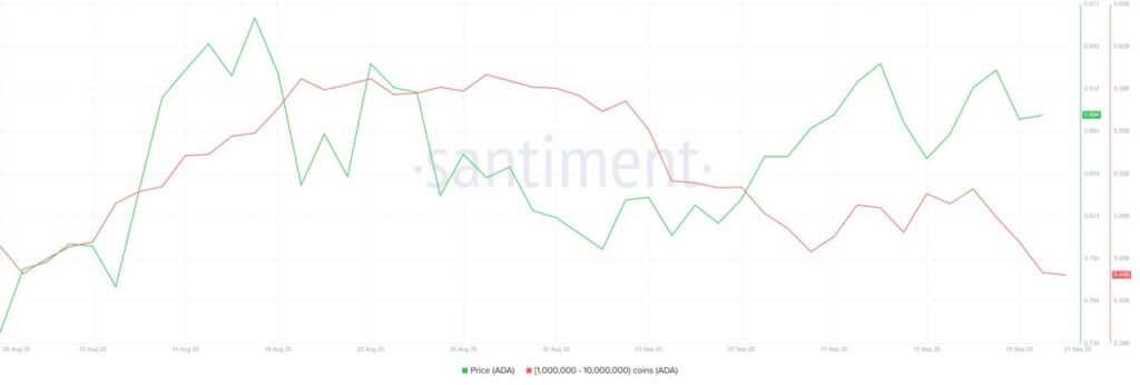 Penurunan Harga Cardano (ADA) oleh Para Whale, Apakah $1 Masih Mungkin? image 0