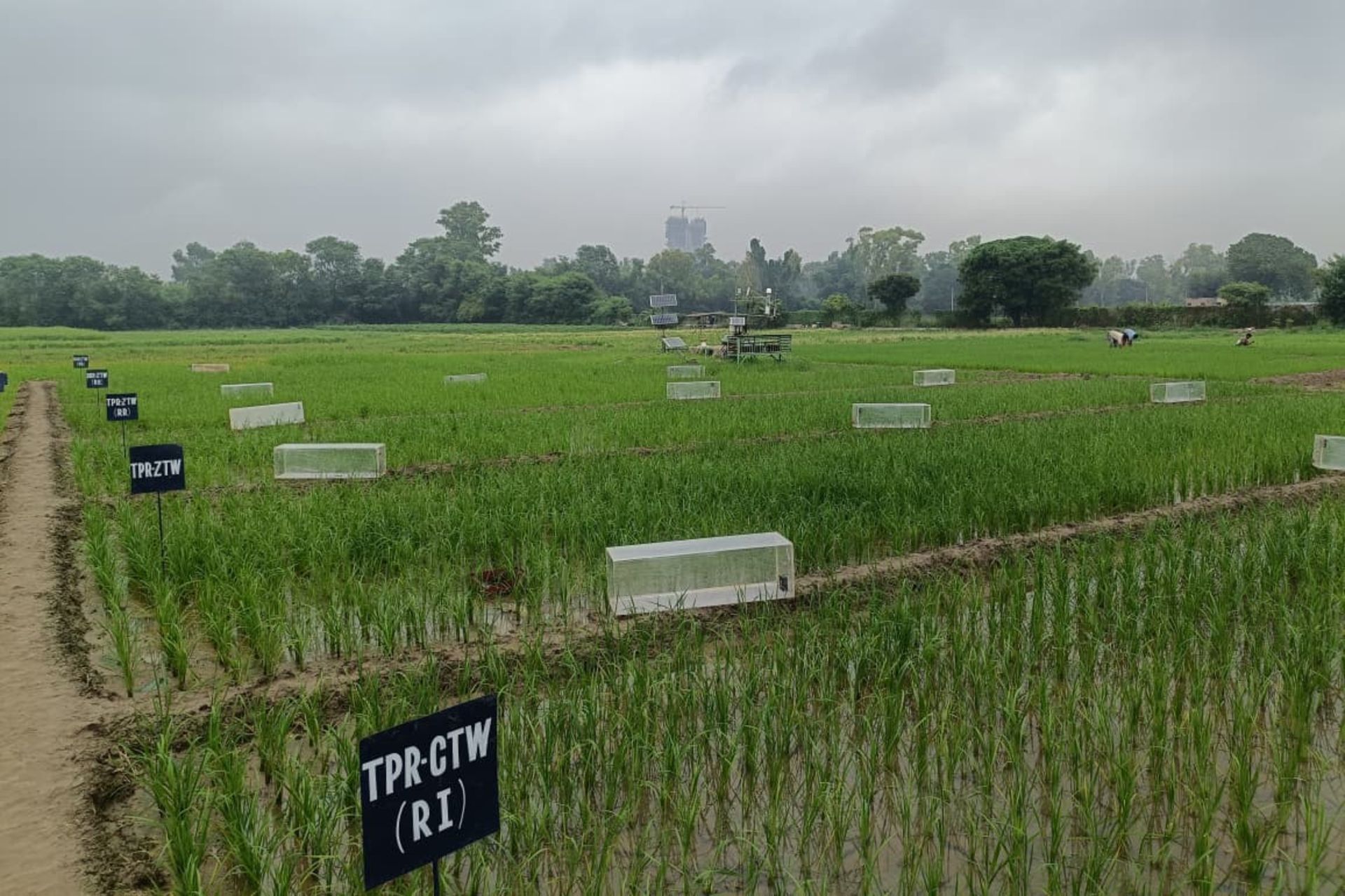 Kering-supported fund Mirova invests $30.5 million in India’s Varaha to promote regenerative agriculture