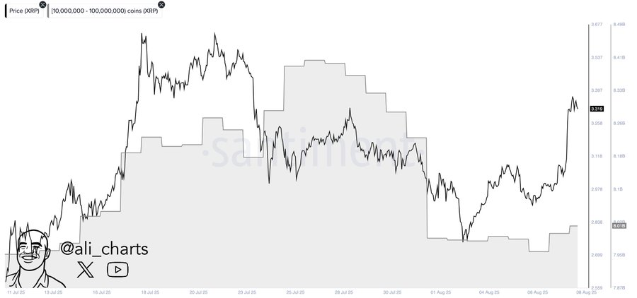 Whales Buy 50M XRP, Pushing Price Rally Toward $3.40 Resistance image 1