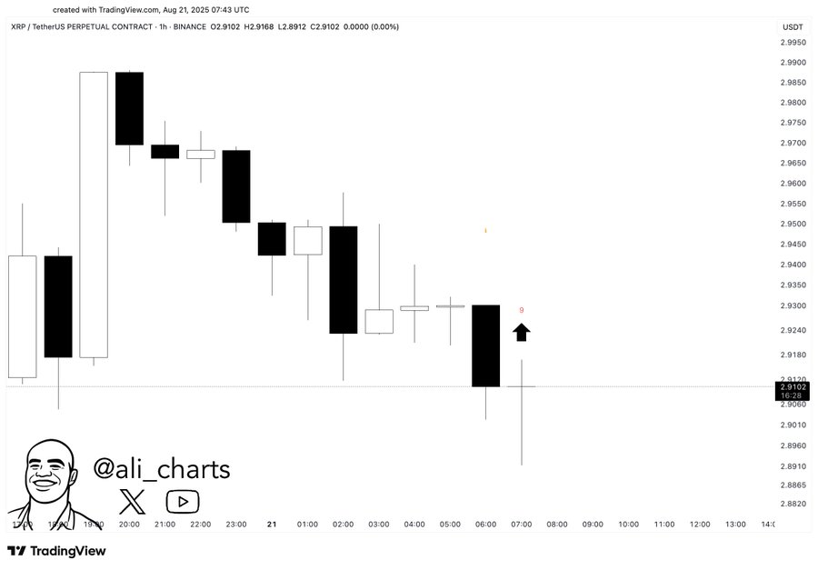 XRP Consolidates Between $2.50 and $3.35 as $3.65 Breakout Could Prompt New Price Discovery image 1