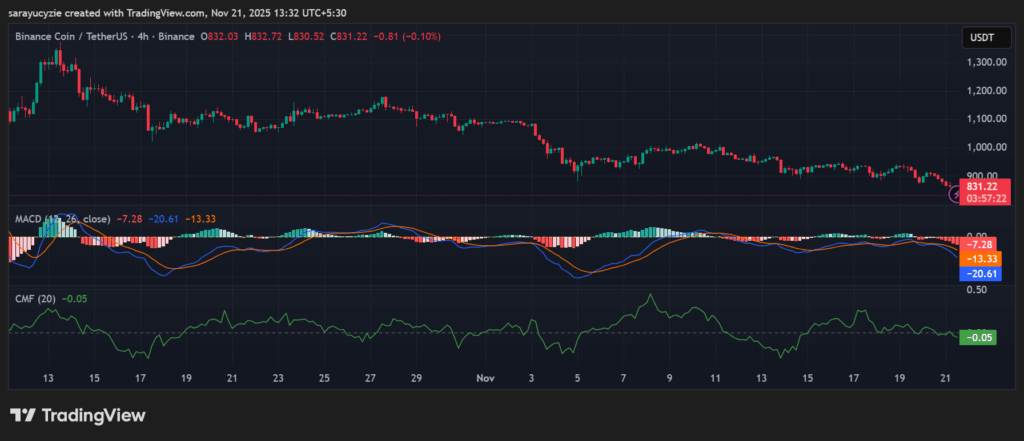 BNB Bears vs. Support Walls: Will $660 and $564 Support Hold the Price? image 0