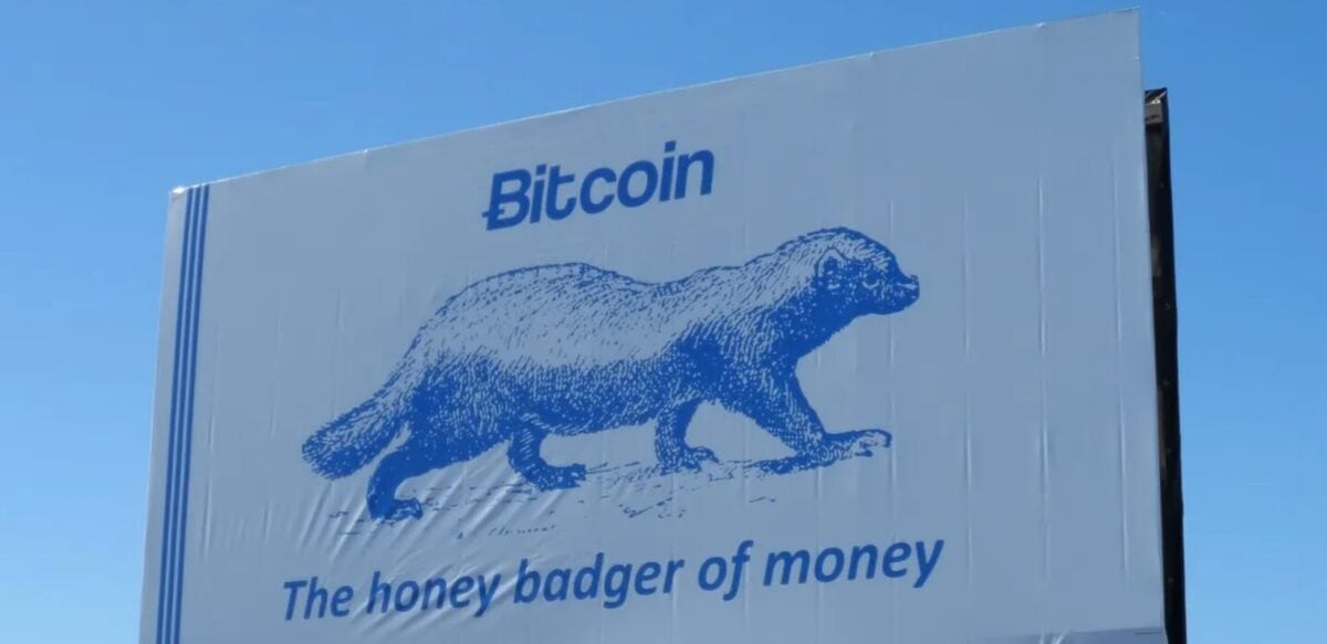 Alpacas: The Bitcoin (BTC) Mascot that Helped Bring Recognition to Cryptocurrency image 11