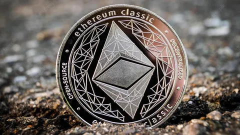 Significant Outflows Hit Grayscale Ethereum Trust Amid Mixed ETF Performance