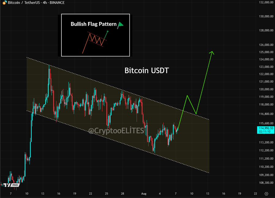 Bitcoin Consolidates Near $116K, Echoing Patterns Before Previous Surge to $100K image 0