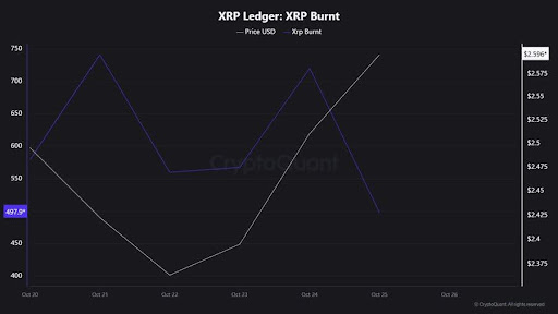XRP Volatility Incoming? Ripple CEO Prepares Investors For What’s Next image 0