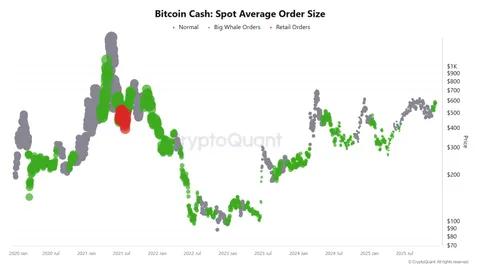 Bitcoin Cash-Preis gewinnt an Dynamik, da die Händlerakzeptanz steigt und Wale akkumulieren