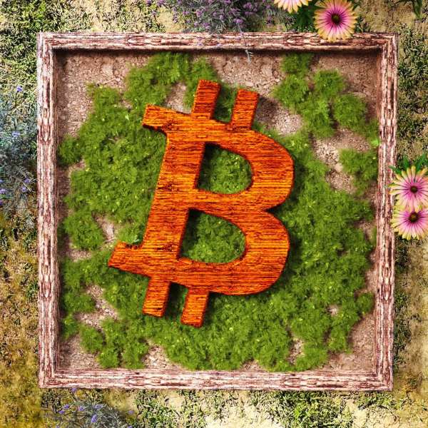 比特币生态全景分析:重塑历史或开启下一次牛市?