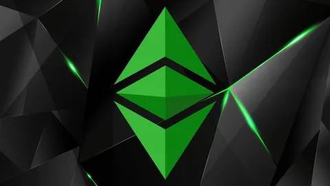 Ethereum ETFs Registered Positive Inflows After the Recent Price Decline