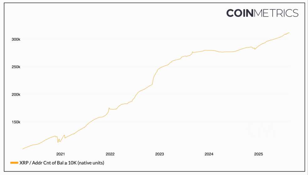 Ripple News: Zahl der XRP Wallets auf einem neuen Rekord, Analysten bullisch trotz Korrektur image 1