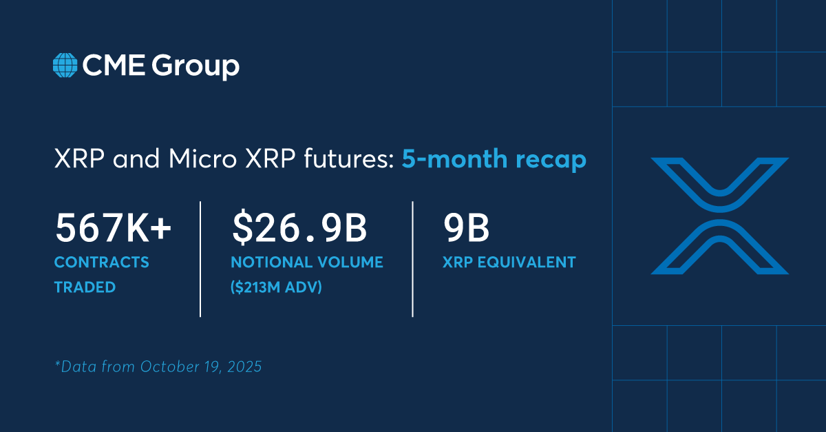 Mengapa Bertaruh pada XRP Jangka Panjang? Vasquez Mengutip ETF, Penggunaan Treasury, Opsi XRP yang diatur CFTC