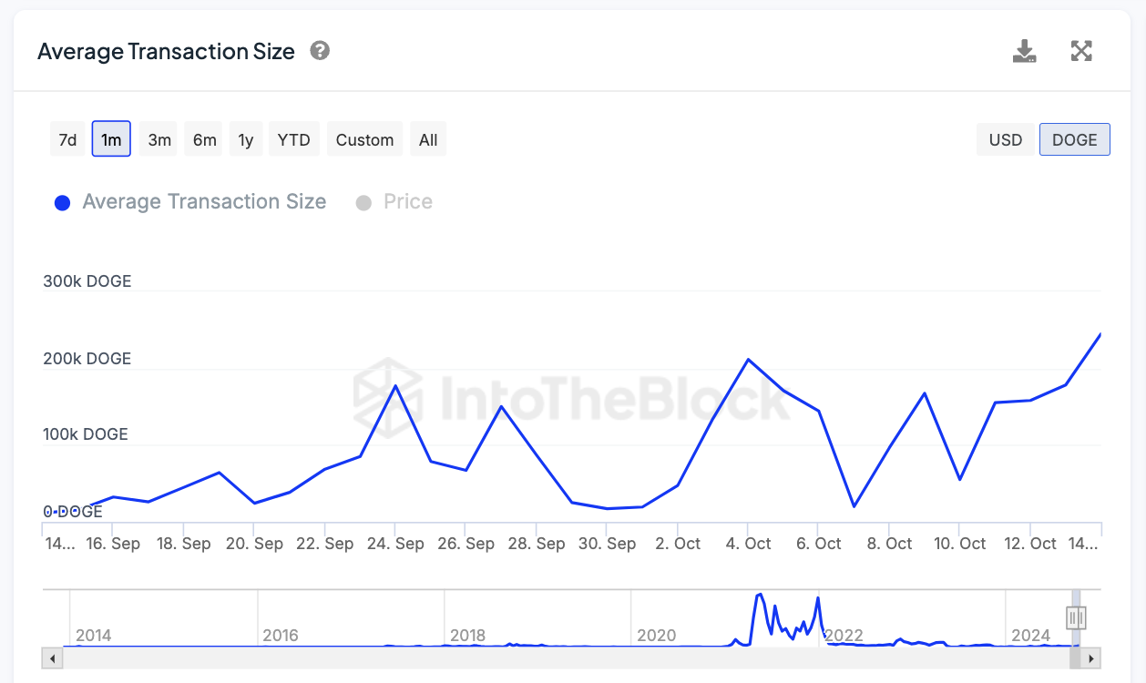 Dogecoin (DOGE) рискует скорректироваться на 30% image 0