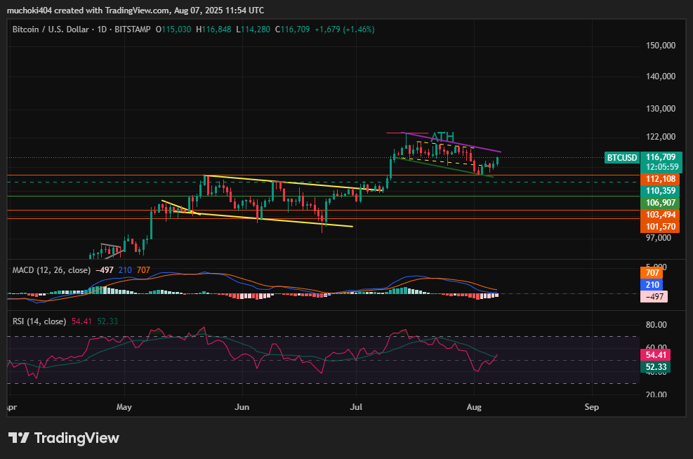 Bitcoin Rebound di Atas $116K Setelah Investor Membeli 120K BTC di Penurunan image 7