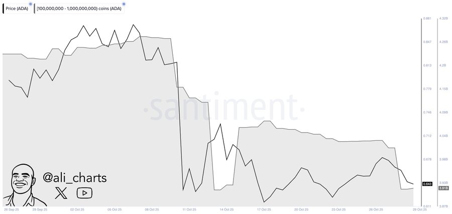Киты продали 100 миллионов ADA за 72 часа: грядет ли прорыв Cardano? image 0