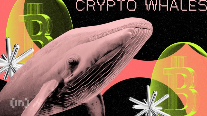 Que vendent et achètent les baleines crypto avec la hausse du marché ?