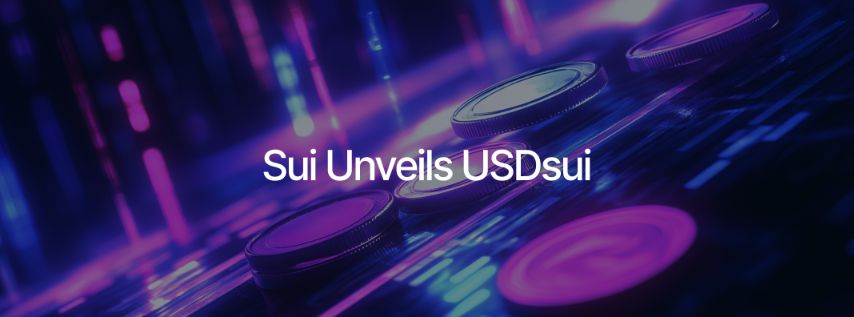 Stripe and SUI Coin Launch a Next-Generation Stablecoin image 3