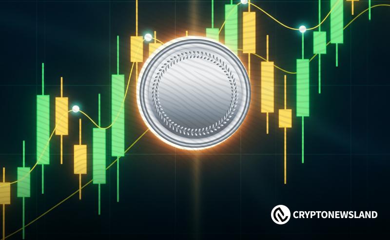 Cryptos You Need In Your Portfolio For Massive ROI In 2026