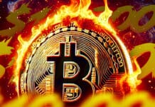 Bitcoin News: Bitcoin steigt wieder auf über 80.000 Dollar, warum trotzdem immer noch ein Absturz möglich ist