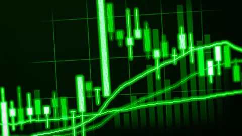 Top 4 Altcoins to Watch Next Week