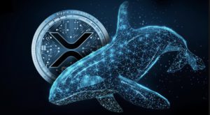 Lonjakan Minat Terhadap Ripple (XRP) Setelah Transaksi Besar Whale, Ini Detailnya!