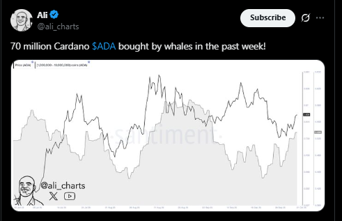 Цена Cardano может преодолеть отметку $0,90, если эти факторы совпадут image 2