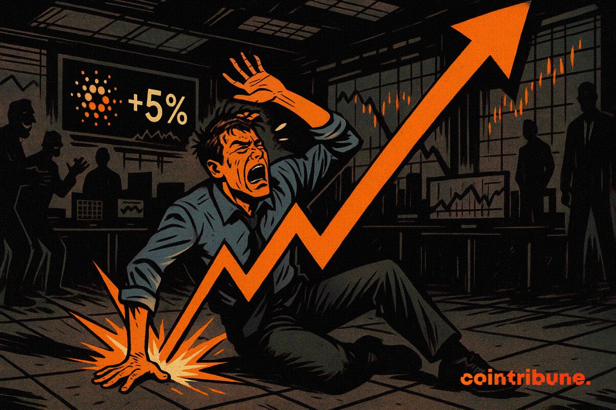 Cardano rebounds despite record investor pessimism