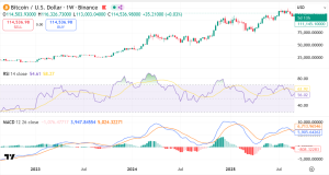 Erwartung sinkender US-Zinsen stoppt Bitcoin-Kursanstieg vor 120.000 Dollar