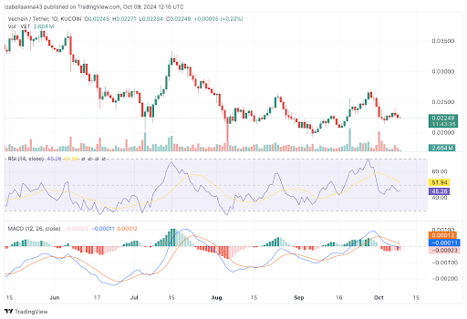 Analyse des prix JasmyCoin et VeChain : une deuxième course haussière en 2024 ? image 7