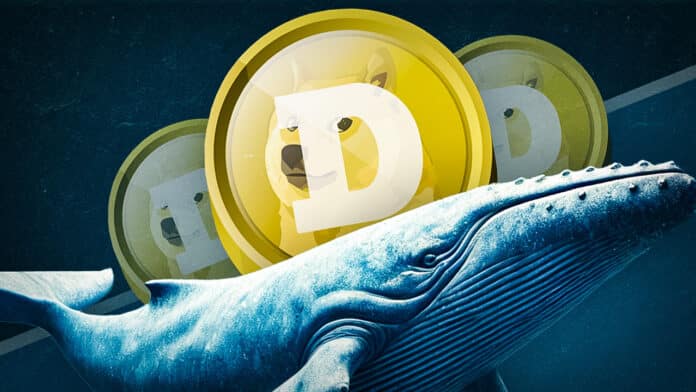 Krypto-Wale haben über Nacht 130 Millionen Dogecoin (DOGE) akkumuliert – sollte man jetzt ebenfalls Meme Coins kaufen? image 0