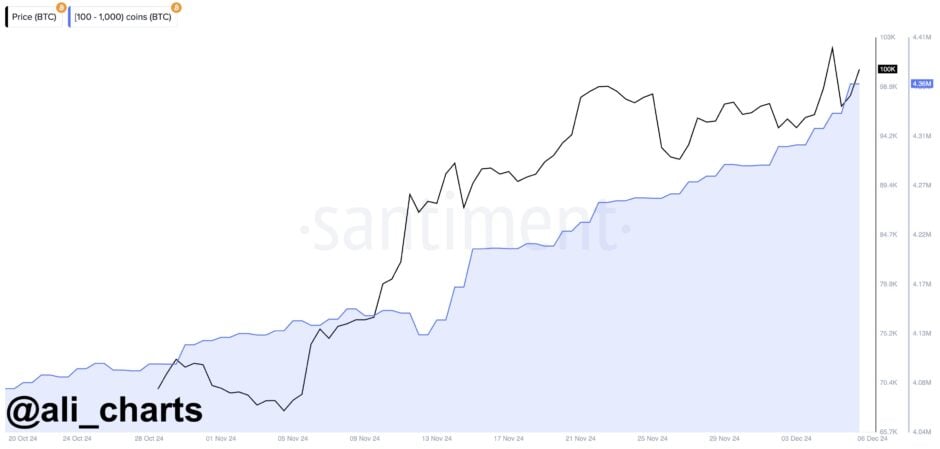 Bitcoin Today 07/12/2024: BTC Aims for Return to $100K as Whales Go Parabolic image 0