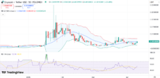 Onyxcoin (XCN) Jumps 30% amid Market Recovery: Analyst Sees 3x Surge image 0