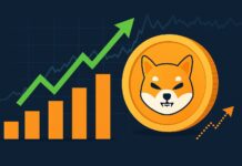 Shiba Inu Prognose 2025: Alpha-Signale zeigen 700 % Plus für SHIB