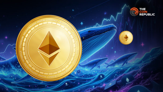 الإيثريوم تشهد أعلى تدفقات للحيتان في 6 أشهر، والسعر يصل إلى أدنى مستوى له في عامين