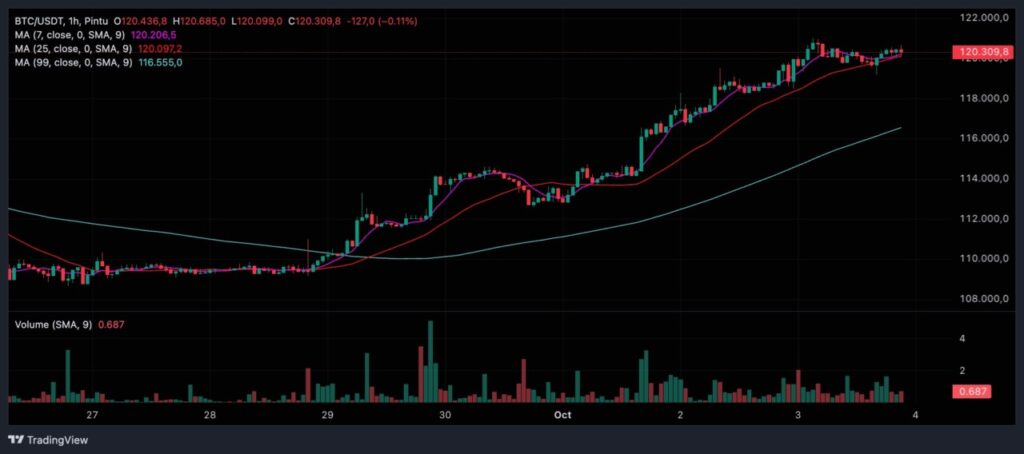 3 Aset Crypto yang Sering Jadi Korban Short Squeeze image 0
