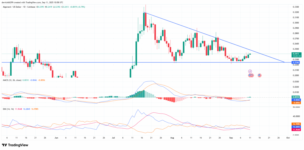 Algorand（ALGO）はモメンタムの変化により$0.26を上抜けるか、$0.22まで後退する可能性 image 0