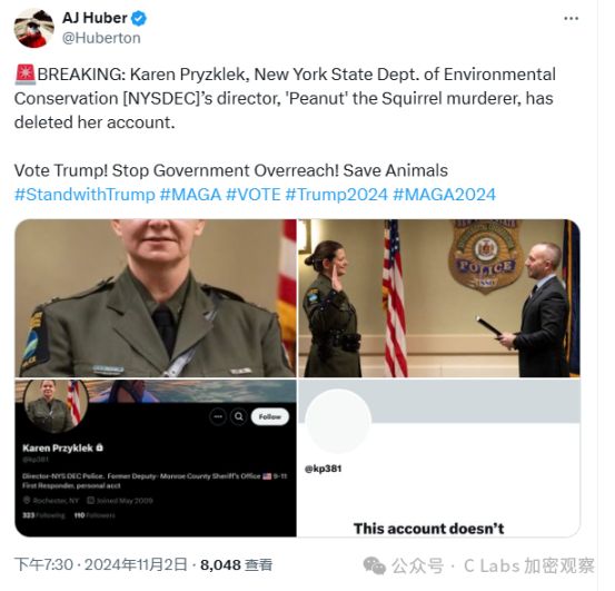 决定美帝命运的，竟然是一只松鼠！ image 4
