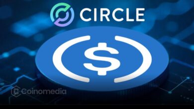 Circle Mints 500M USDC on Solana Blockchain