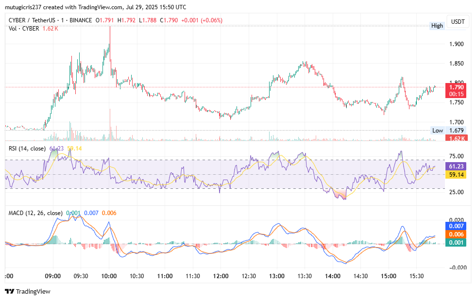 CYBER Price Consolidates Following High Volume Breakout Move image 1