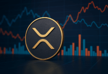 Zukunft von XRP: Warum der Oktober entscheidend sein könnte