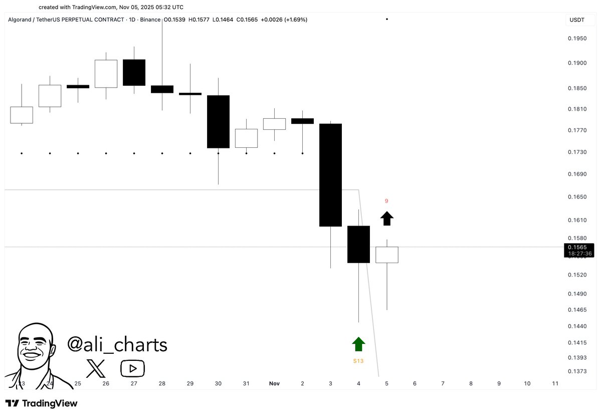 Analista de criptomonedas destaca señales de recuperación en altcoins clave image 5
