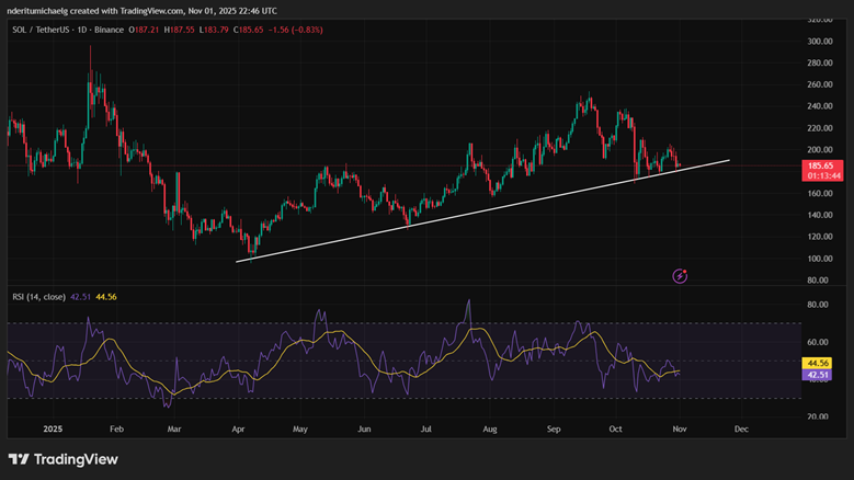 «Аллилуйя» — новое эссе Артура Хейса. Краткий пересказ image 5